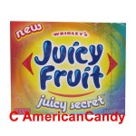 Wrigley's Juicy Fruit Juicy Secret 15er